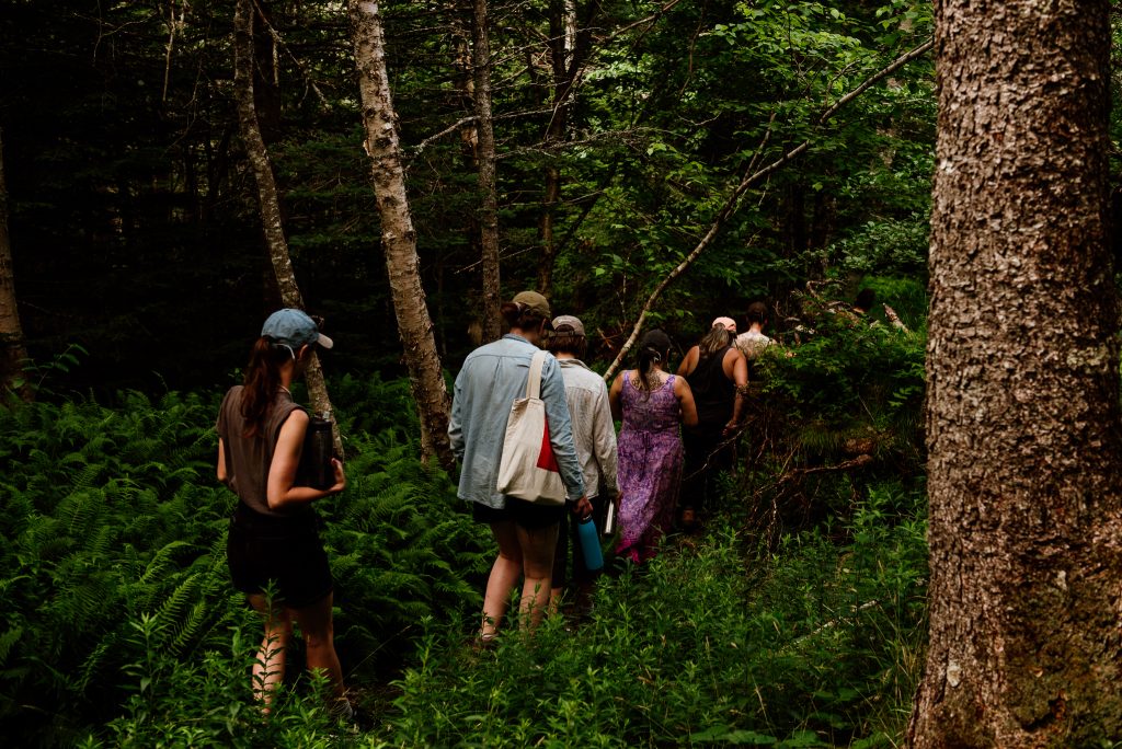 Group of people walking in the woods