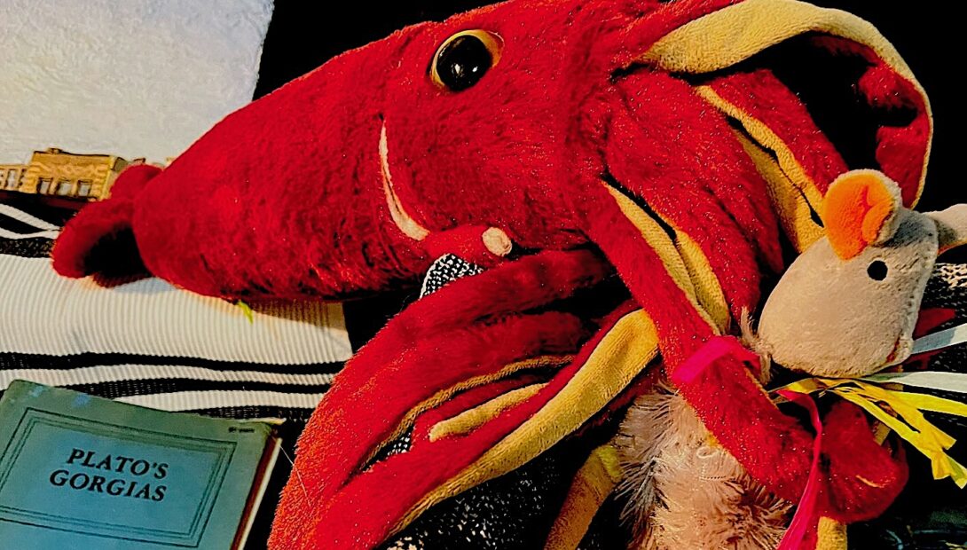 Attack of the merciless squid