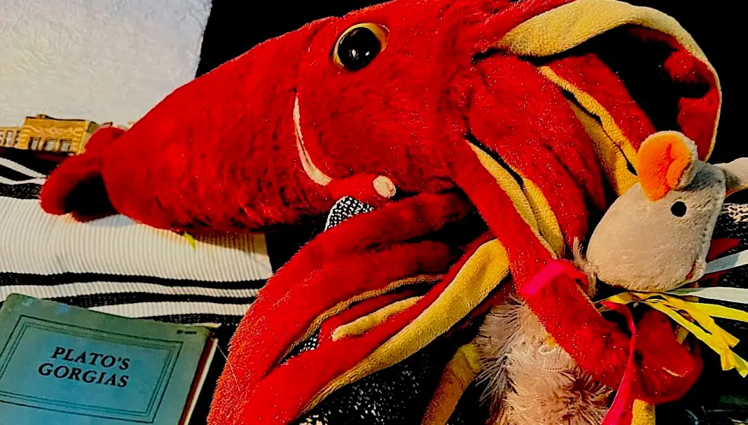 Attack of the merciless squid