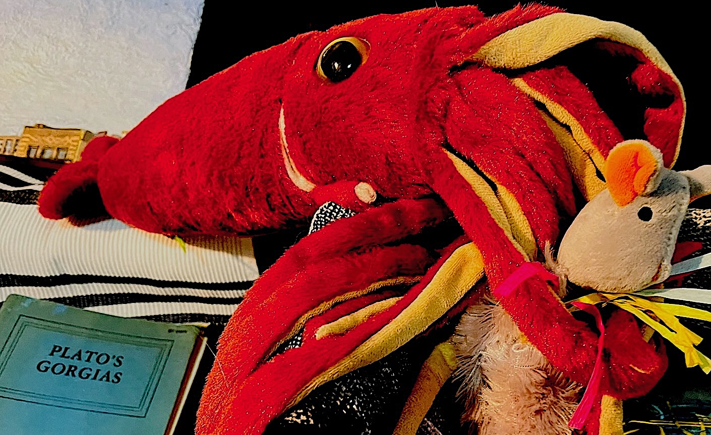 Attack of the merciless squid