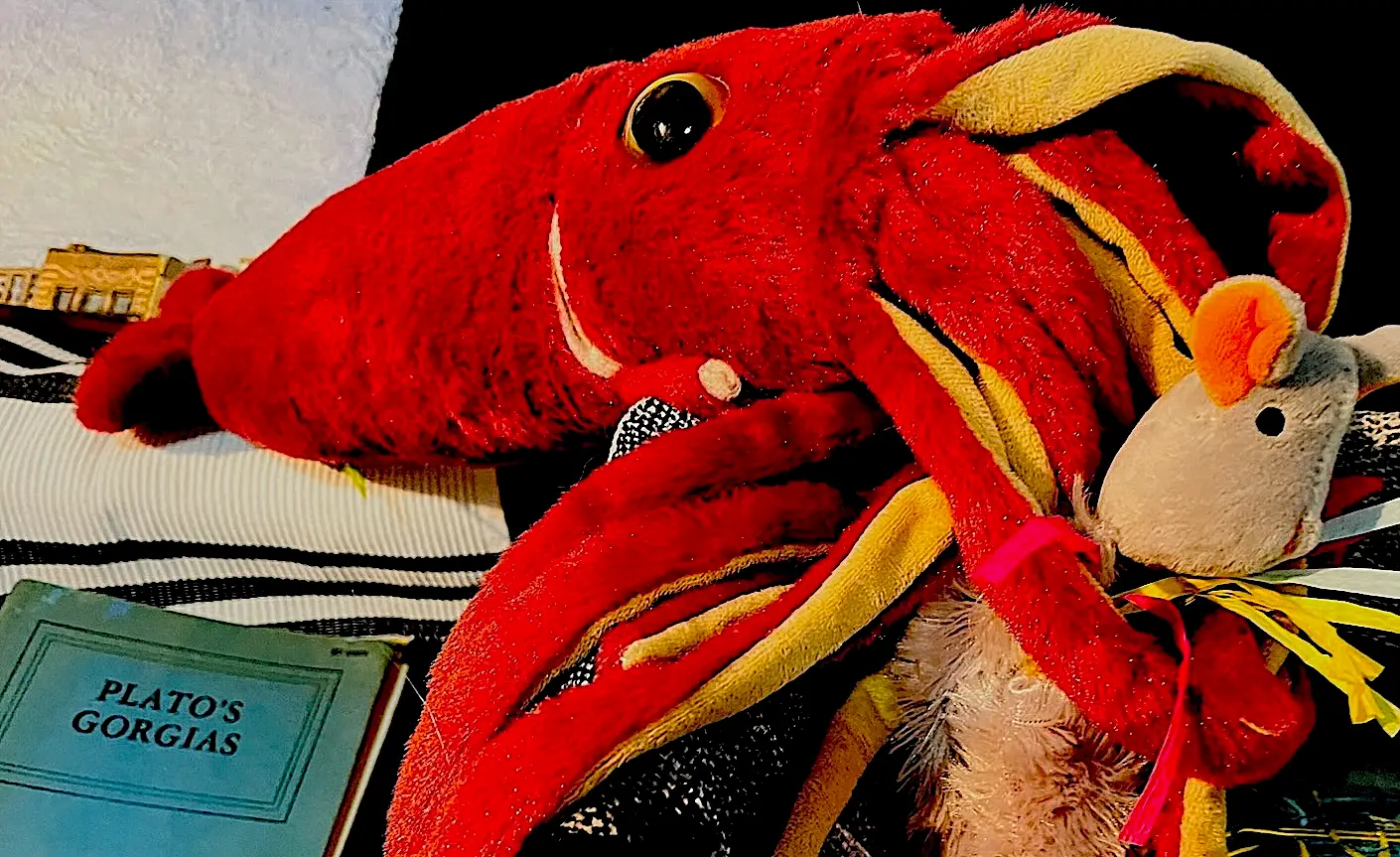 Attack of the merciless squid