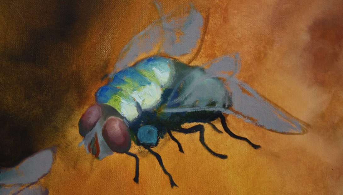 Painting by Naomi Pelavas of a housefly