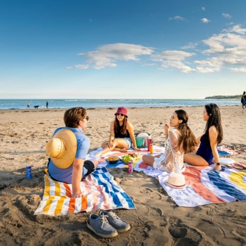 Friends having a picnic on a sandy Nova Scotia beach